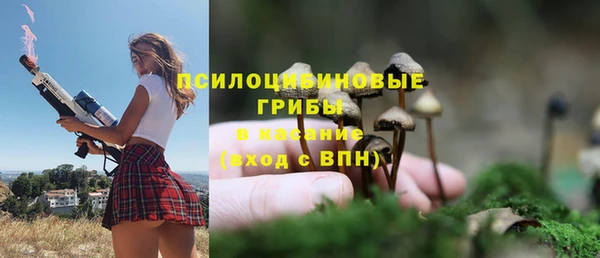 сатива Покачи