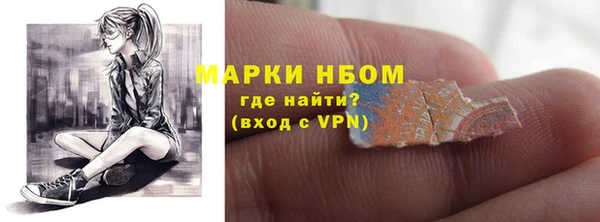 сатива Покачи