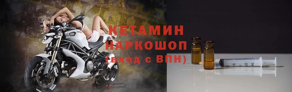 сатива Покачи
