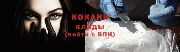 сатива Покачи