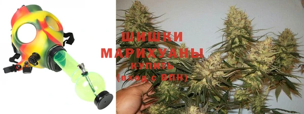 сатива Горно-Алтайск