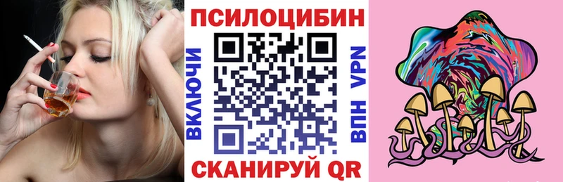 Галлюциногенные грибы Psilocybine cubensis  продажа наркотиков  Котово 